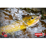 Nymph REDBASS Nr. 1 S - 53 mm - 1 pcs