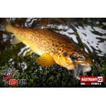 Nymph REDBASS Nr. 1 S - 53 mm - 1 pcs