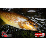 Nymph REDBASS Nr. 1 S - 53 mm - 1 pcs