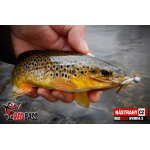 Nymph REDBASS Nr. 1 S - 53 mm - 1 pcs