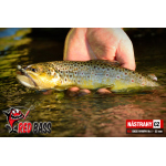 Nymph REDBASS Nr. 1 S - 53 mm - 1 pcs