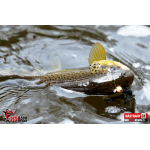 Nymph REDBASS Nr. 1 S - 53 mm - 1 pcs