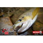 Nymph REDBASS Nr. 1 S - 53 mm - 1 pcs