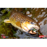 Nymph REDBASS Nr. 1 S - 53 mm - 1 pcs