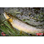 Nymph REDBASS Nr. 1 S - 53 mm - 1 pcs
