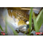 Nymph REDBASS Nr. 1 S - 53 mm - 1 pcs