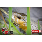 Nymph REDBASS Nr. 1 S - 53 mm - 1 pcs