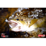Nymph REDBASS Nr. 1 S - 53 mm - 1 pcs