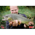 Nymph REDBASS Nr. 1 S - 53 mm - 1 pcs