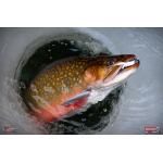Nymph REDBASS Nr. 1 S - 53 mm - 1 pcs