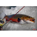 Nymph REDBASS Nr. 1 S - 53 mm - 1 pcs