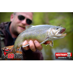 Nymph REDBASS Nr. 1 S - 53 mm - 1 pcs