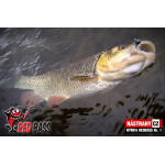 Nymph REDBASS Nr. 1 S - 53 mm - 1 pcs