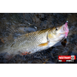 Nymph REDBASS Nr. 1 S - 53 mm - 1 pcs