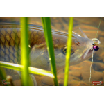 Nymph REDBASS Nr. 1 S - 53 mm - 1 pcs