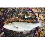 Nymfa REDBASS Nr. 1 X - 100 mm - 5 pcs