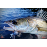 Nymph REDBASS Nr. 1 X - 100 mm - 1 pcs