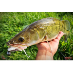 Nymfa REDBASS Nr. 1 X - 100 mm - 5 pcs