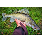 Nymfa REDBASS Nr. 1 X - 100 mm - 5 pcs
