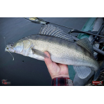 Nymfa REDBASS Nr. 1 X - 100 mm - 5 pcs