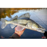 Nymfa REDBASS Nr. 1 X - 100 mm - 5 pcs