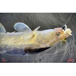 Nymfa REDBASS Nr. 1 X - 100 mm - 5 pcs