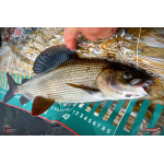Nymfa REDBASS Nr. 1 X - 100 mm - 5 pcs