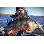 Nymfa REDBASS Nr. 1 X - 100 mm - 5 pcs