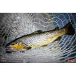 Nymph REDBASS Nr. 1 X - 100 mm - 1 pcs