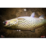 Nymfa REDBASS Nr. 1 X - 100 mm - 5 pcs