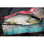 Nymfa REDBASS Nr. 1 X - 100 mm - 5 pcs