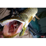 Nymph REDBASS Nr. 1 X - 100 mm - 1 pcs