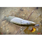 Nymfa REDBASS Nr. 1 X - 100 mm - 5 pcs