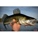 Nymph REDBASS Nr. 1 XL - 130 mm - 1 pcs
