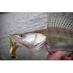 Nymph REDBASS Nr. 1 XL - 130 mm - 1 pcs