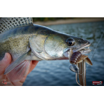 Nymph REDBASS Nr. 1 XL - 130 mm - 1 pcs
