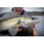 Nymph REDBASS Nr. 1 XL - 130 mm - 1 pcs