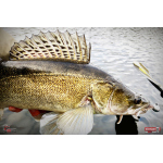Nymph REDBASS Nr. 1 XL - 130 mm - 1 pcs
