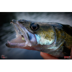 Nymph REDBASS Nr. 1 XL - 130 mm - 1 pcs