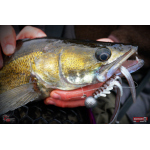 Nymph REDBASS Nr. 1 XL - 130 mm - 1 pcs