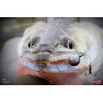 Nymph REDBASS Nr. 1 XL - 130 mm - 1 pcs