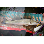 Nymph REDBASS Nr. 1 XL - 130 mm - 1 pcs