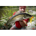 Nymph REDBASS Nr. 1 XL - 130 mm - 1 pcs