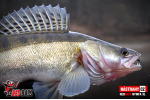 Nymph REDBASS Nr. 1 XL - 130 mm - 5 pcs