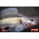 Nymph REDBASS Nr. 1 XL - 130 mm - 1 pcs