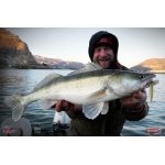 Nymph REDBASS Nr. 1 XL - 130 mm - 1 pcs