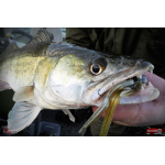 Nymph REDBASS Nr. 1 XL - 130 mm - 1 pcs