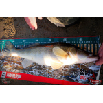 Nymph REDBASS Nr. 1 XL - 130 mm - 1 pcs