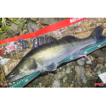 Nymph REDBASS Nr. 1 XL - 130 mm - 1 pcs