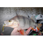 Nymph REDBASS Nr. 1 XL - 130 mm - 1 pcs